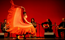 Orquestra Chekara Flamenca fra Spania og Marokko, er blant deltagerene på forestillingen om Ole Bull under årets Førdefestival. (foto: fordefestival.no) Førdefestivalen feirer Bull